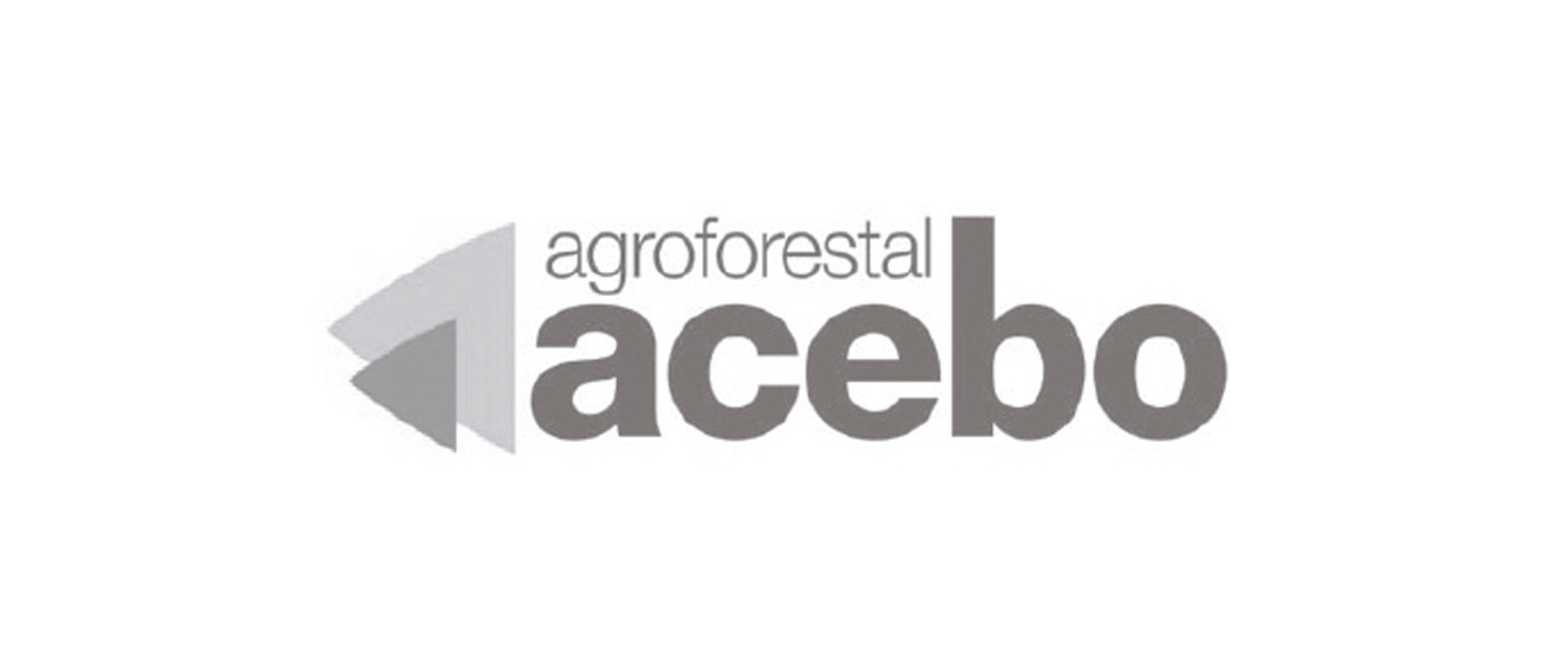 acebo_logo